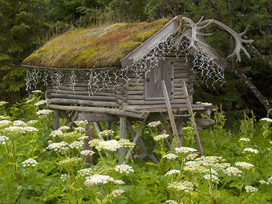 An Alaskan supply hut looks like a gnome's house photo