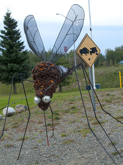 A sculpture of a giant mosquito stands in tribute to Alaska's unofficial state bird