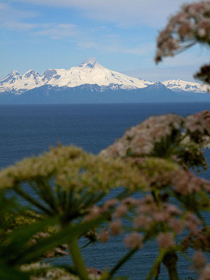 The view across Cook Inlet of the Lake Clark National Park and Preserve in Alaska.