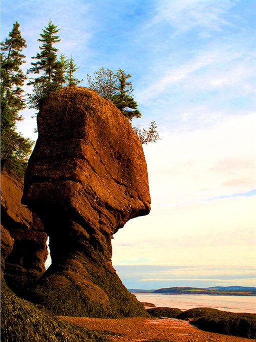 The Flowerpot Rocks at Hopewell Rocks Provincial Park in New Brunswick, Canada have been carved by the 40-foot tides that rise and fall daily in the Bay of Fundy. 