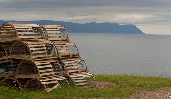 Lobster traps along the Newfoundland, Canada coast 