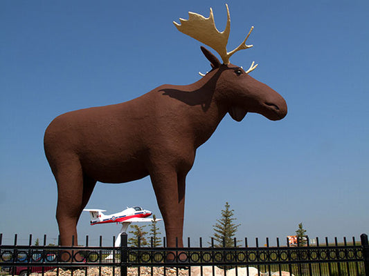 Moosejaw, Saskatchewan's mascot is a giant moose statue